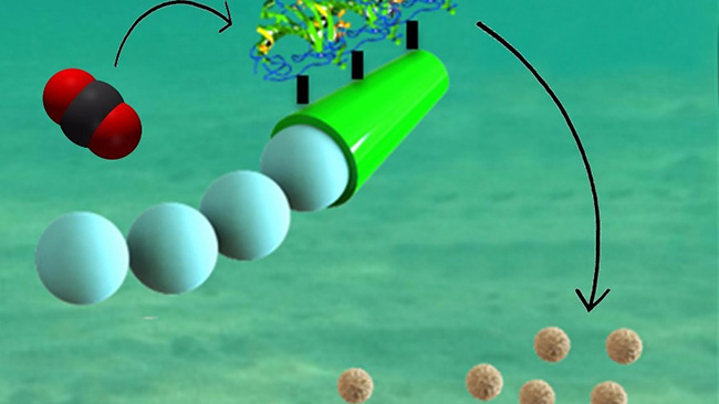 پاکسازی دی اکسید کربن اقیانوس‌ها با نانوموتور