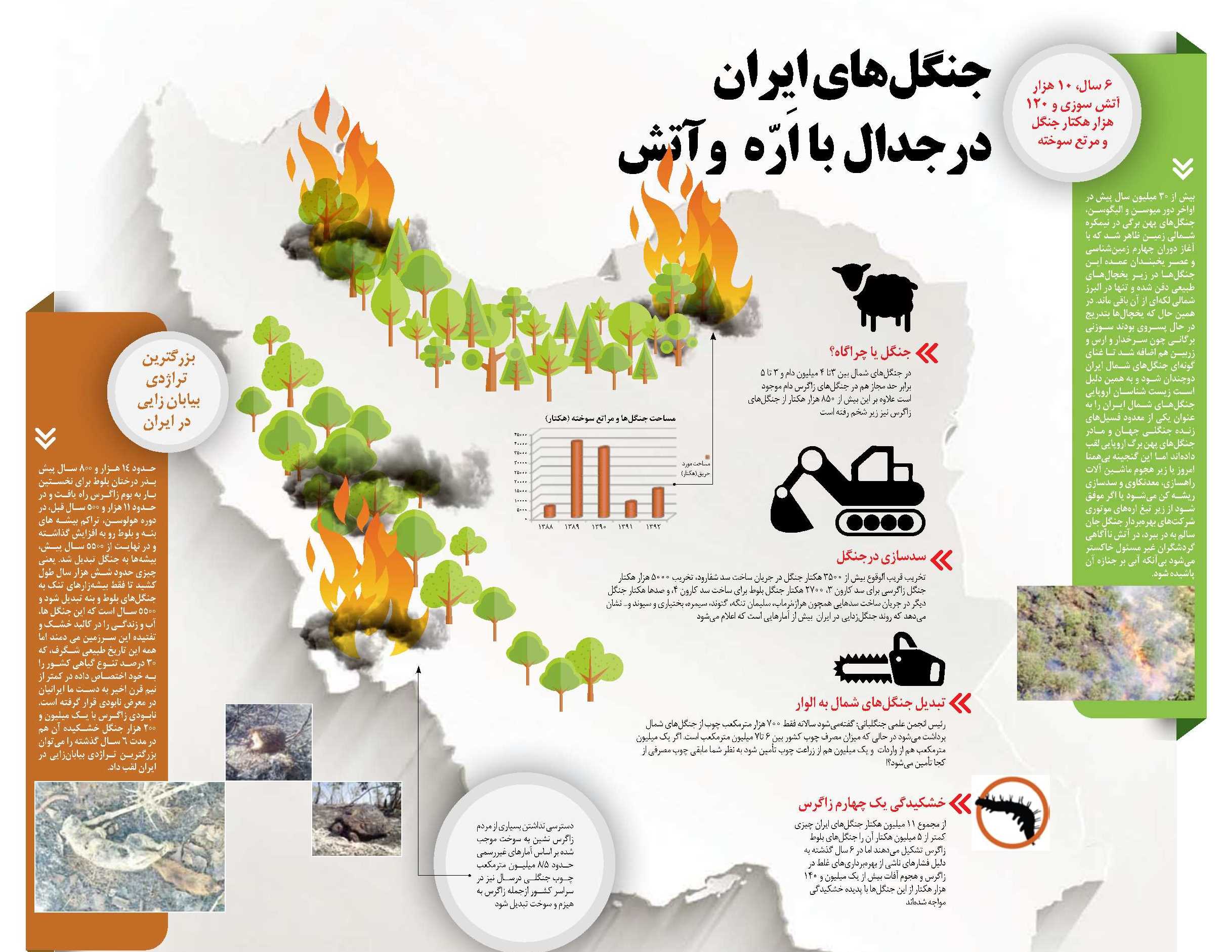 جنگل‌های ایران درجدال با اَرّه و آتش